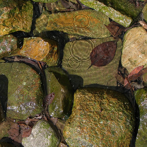 Ripples and rock