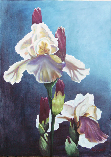iris