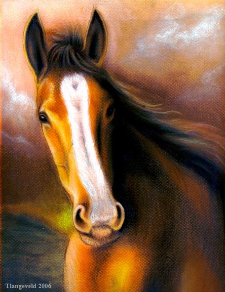 Horse