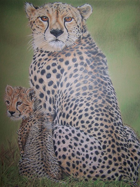Cheetahs for Danni