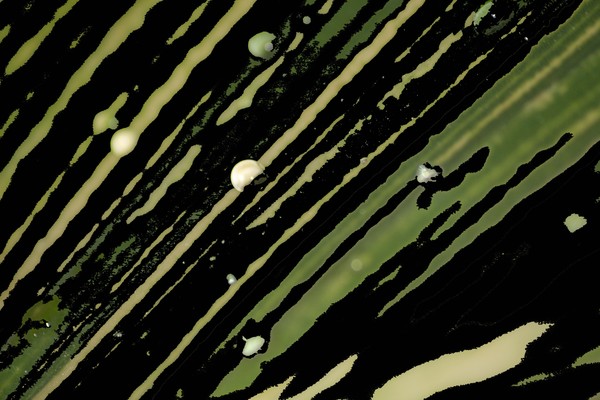 Waterdrops on Leaf
