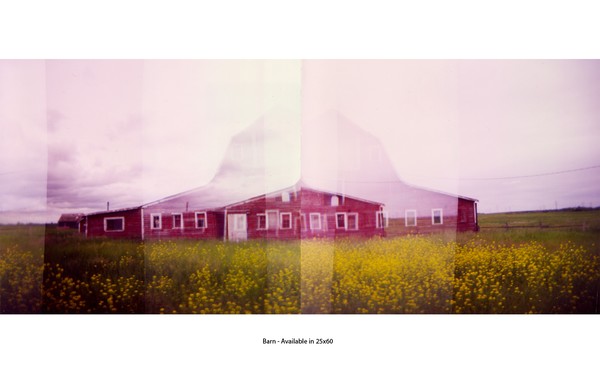 Holga