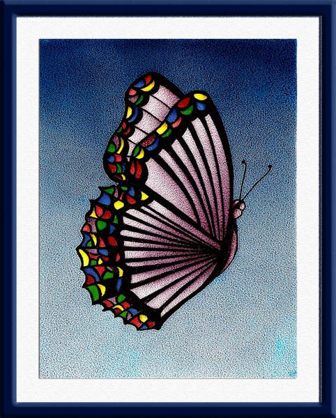 borboleta multicolorida