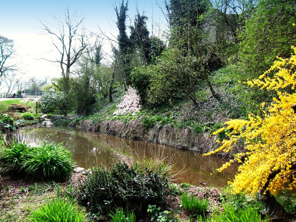 Dudley garden