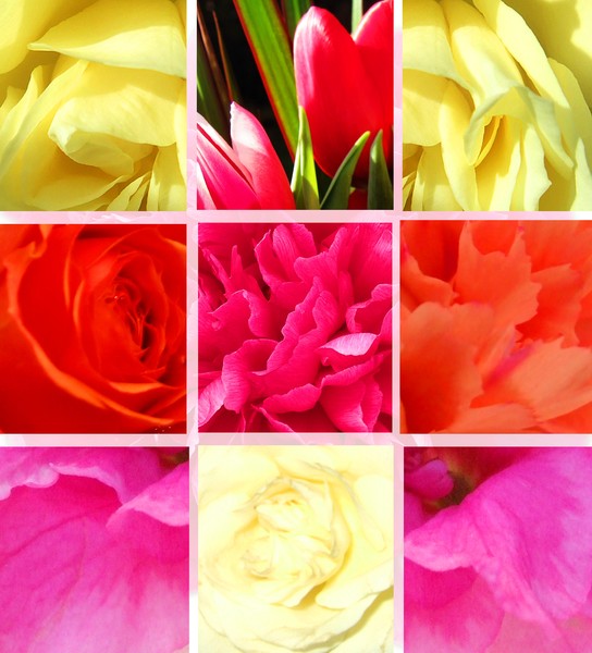 flowers