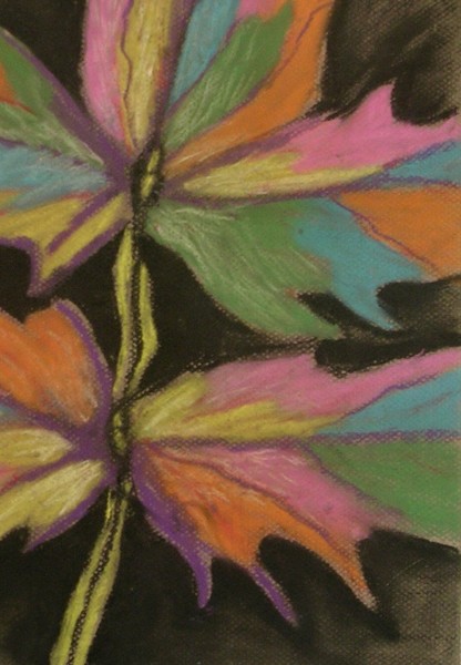 Colorful Leaf