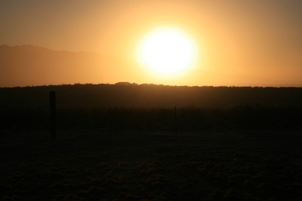 Sun Ball