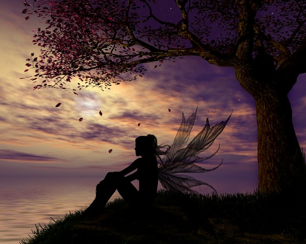 The Dreamer