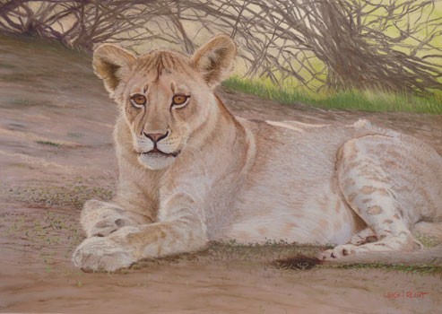 African afternoon