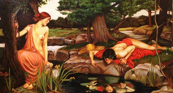Narcissus