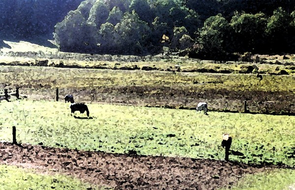 A Country Scene