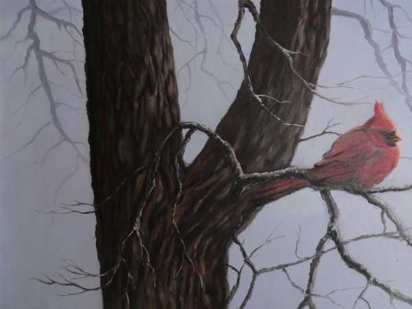 bird