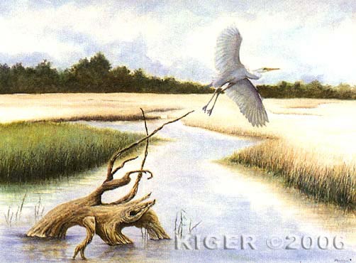 Lowcountry Marsh