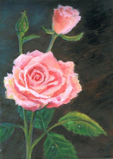 Rose.