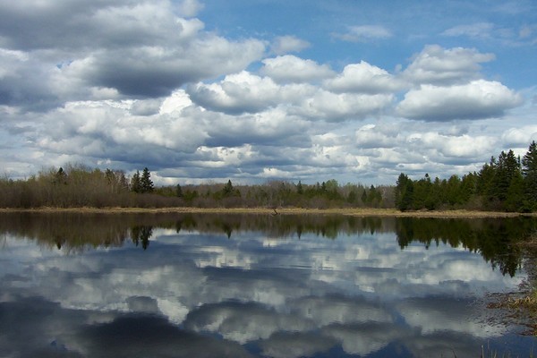 Cloudy Maine