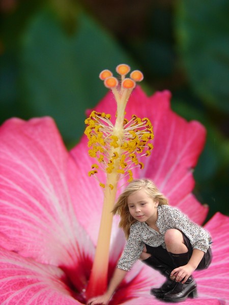 Flower Girl