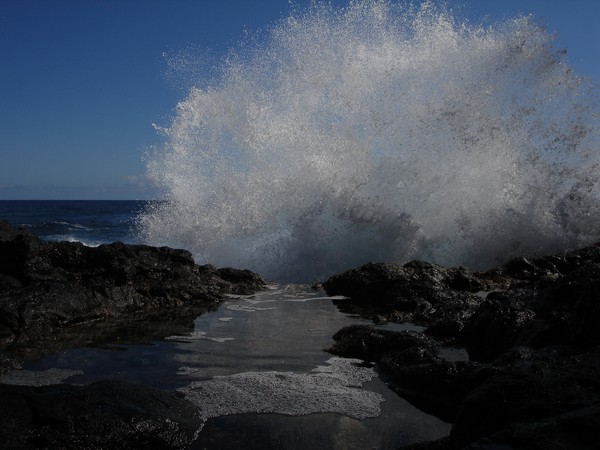 Ocean In Motion 0037