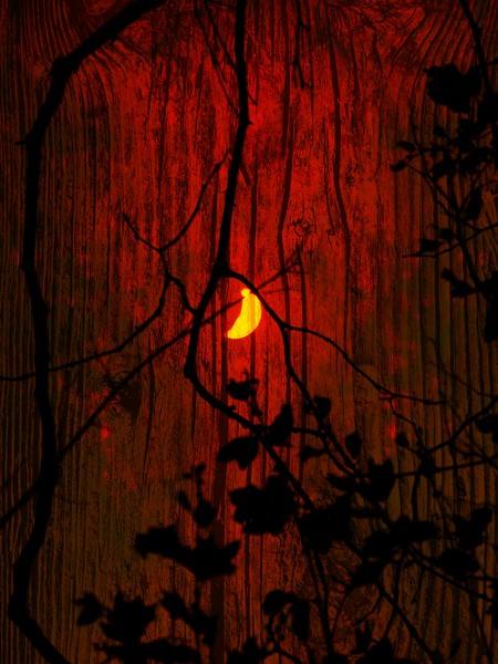 Harvest Moon