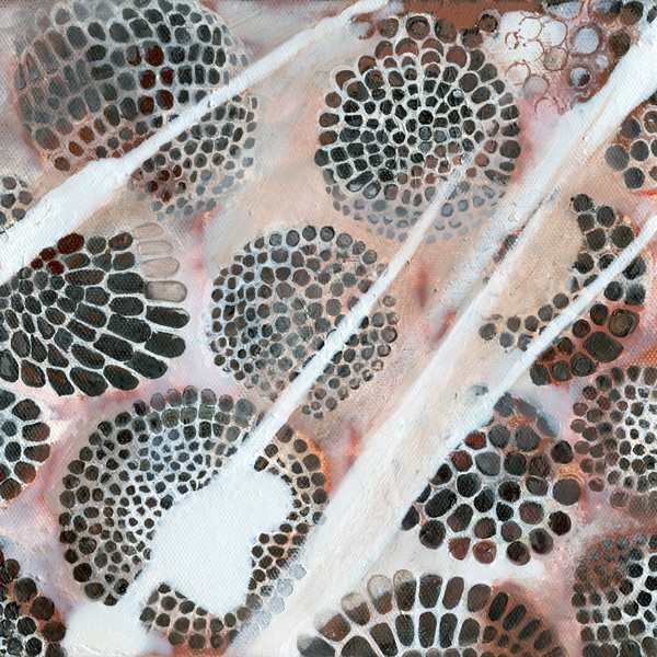 Polished Slab