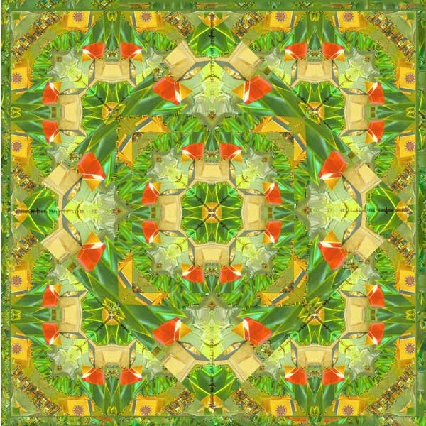 Mandala - Earth