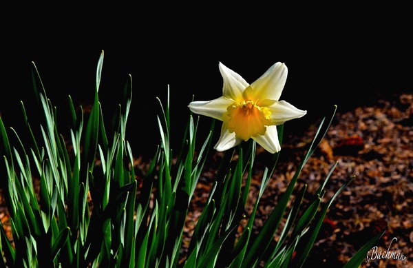  Simple so beautiful !