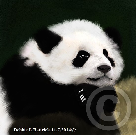 Panda Bear