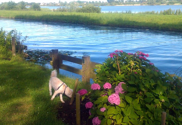 Smell the flowers