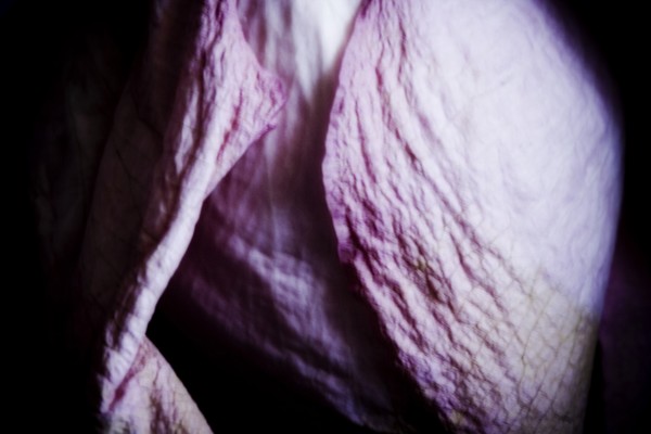 Withered