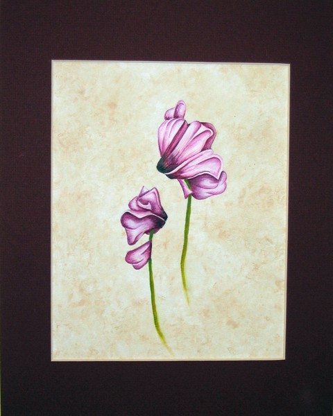 Cyclamen