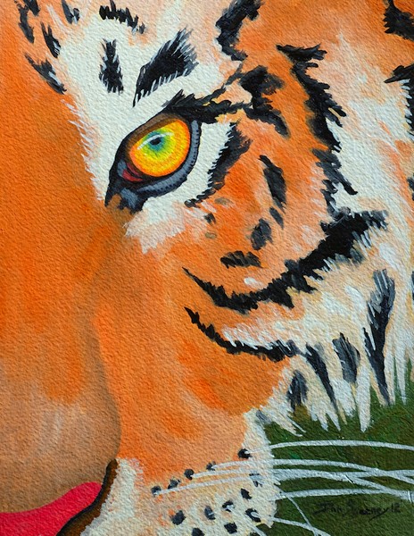 Tiger Eye2