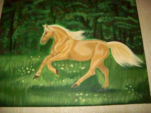 Palamino