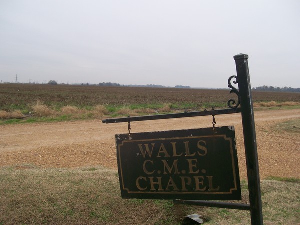 Southern Landscape 