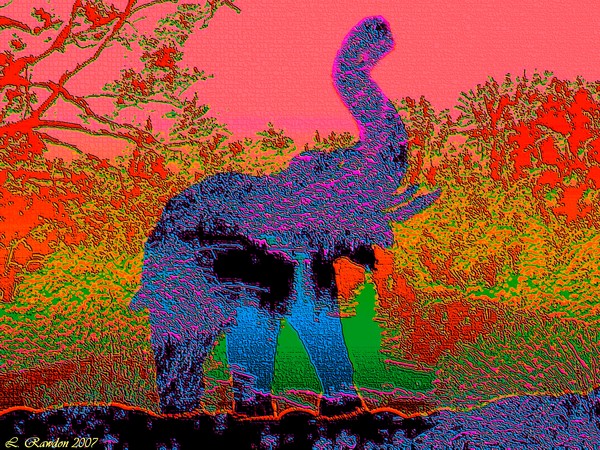 Elephant Creation