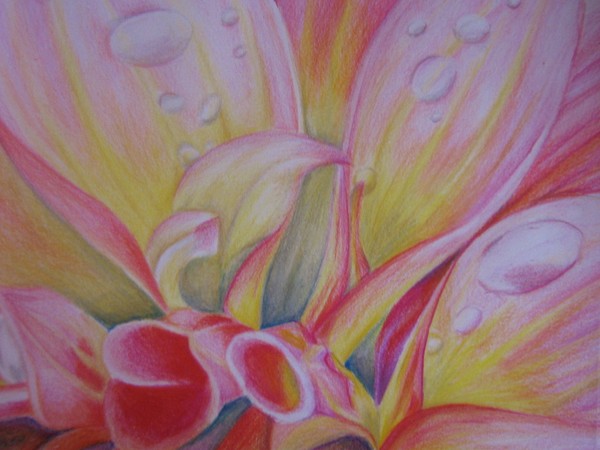 close ups