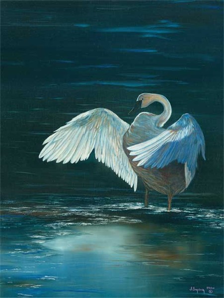 The Swan