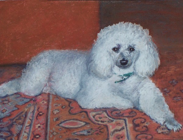 Suzie