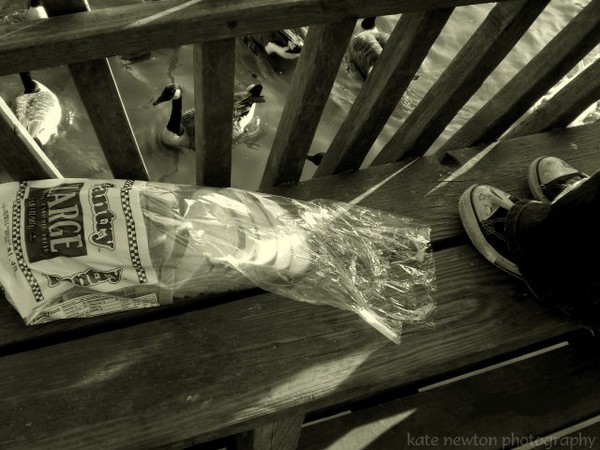 Bread, Chucks, and Ducks