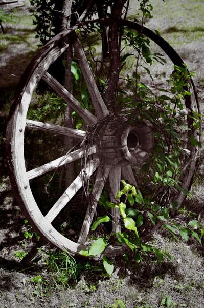 Wheel Days of Old