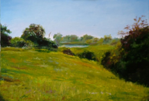 Field