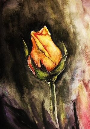 Rose watercolour painting