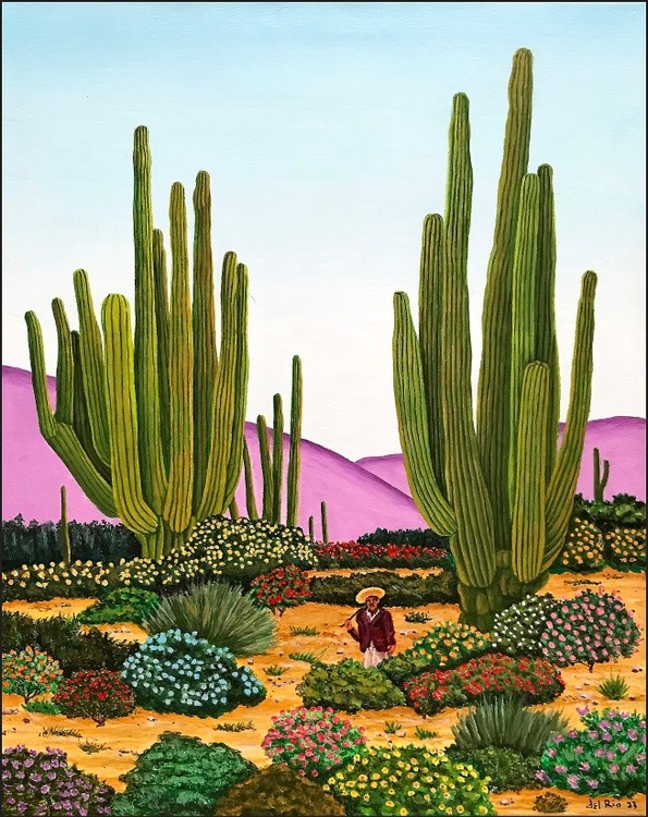 Saguaros