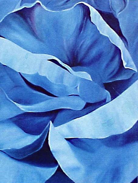 Melancholy Rose