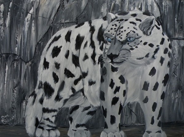 Snow Leopard on Rocky Ledge