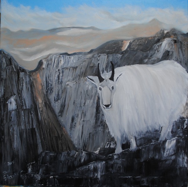 Mountain Goat High in the Rocky Mountains