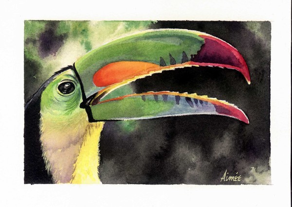 Toucan