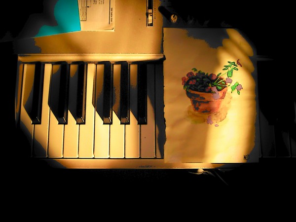 Geraniums Play the Blues