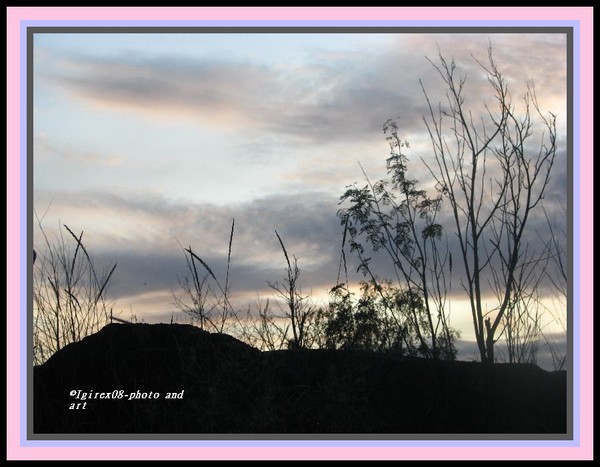 AutUmsky -2008