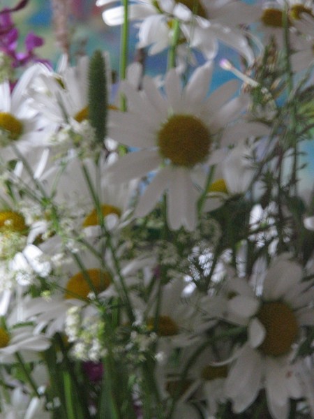 Wonderful summerdays..
