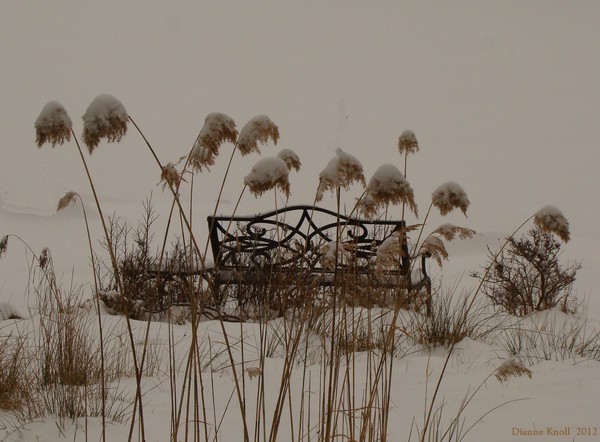 bench 