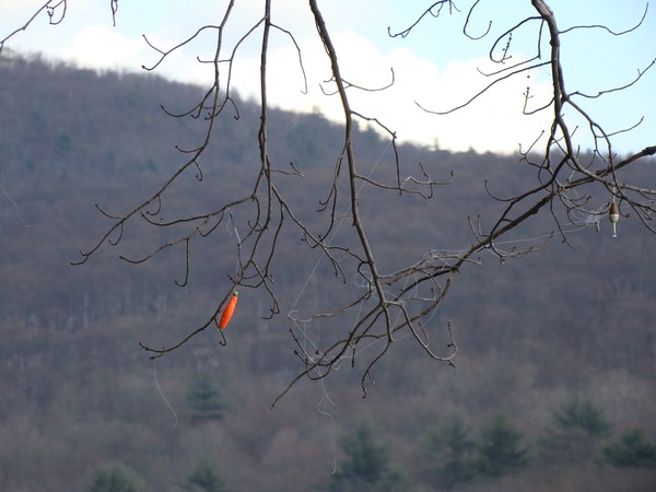 Hooked on Fishing